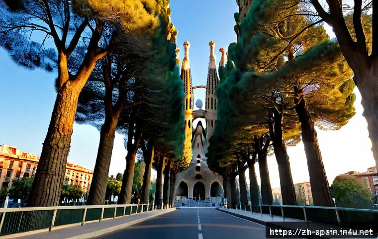 스페인 주요 관광지 - Photorealistic sunrise view of Barcelona’s Sagrada Familia from a quiet tree-lined avenue, intricate...